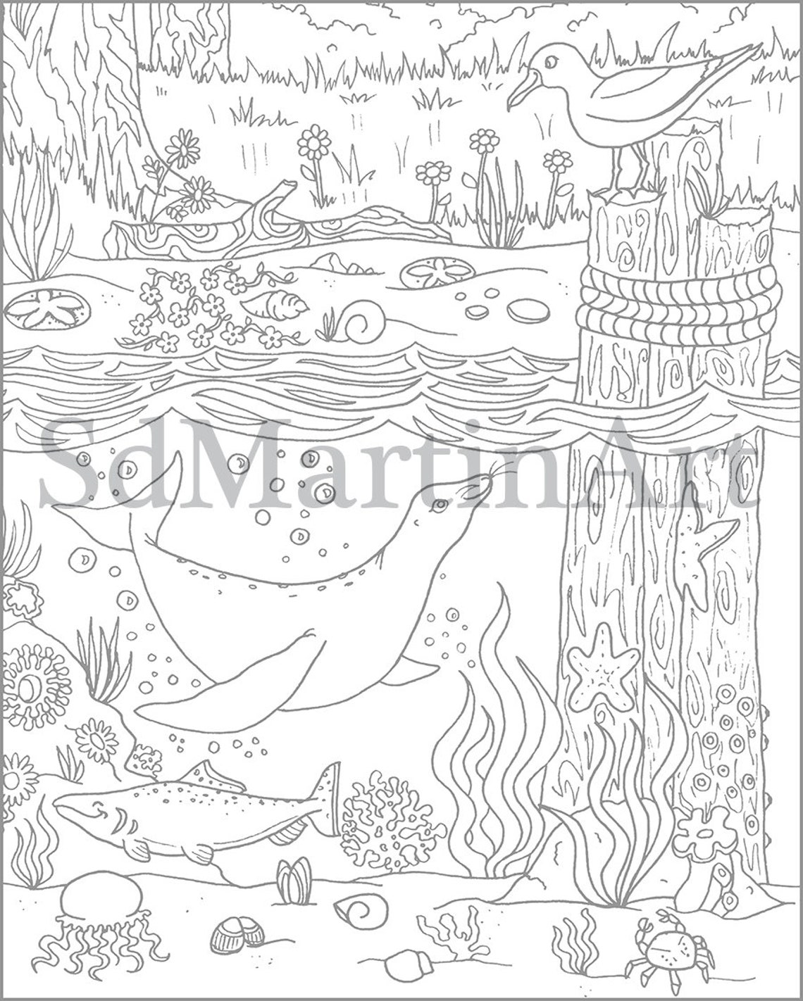 Sea Lion Under the Sea-printable Adult Coloring Book Page-for Adults