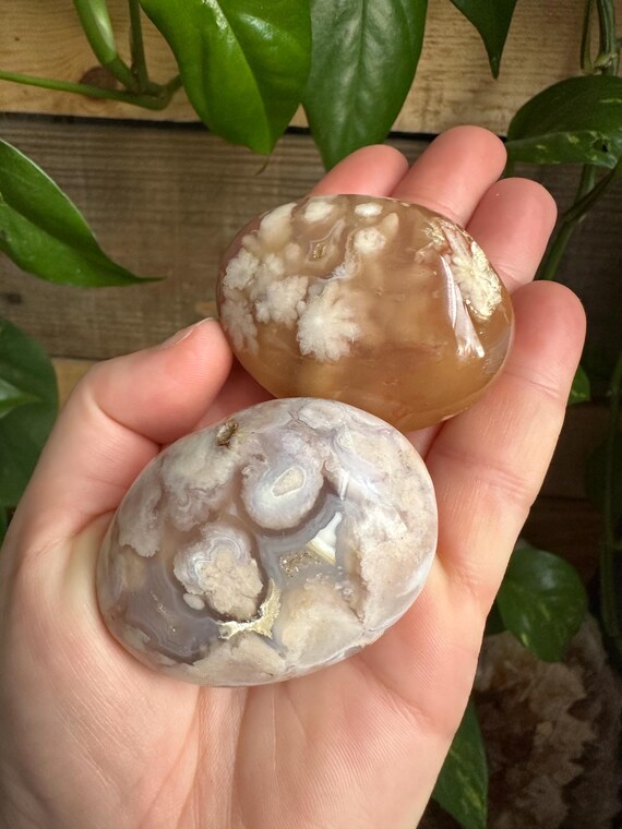 Madagascar Flower Agate Palm Stone Pair