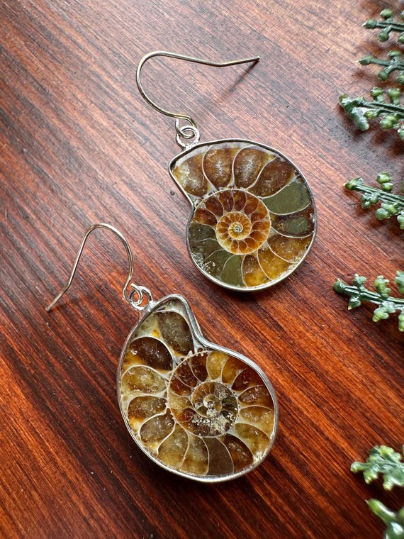 Small Ammonite Earrings / Lighter Color