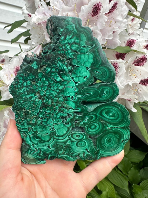 Polished Malachite Slab Collectors Quality Mineral Gift For Rock Lovers Gemstones To Collect Green Polished Stone