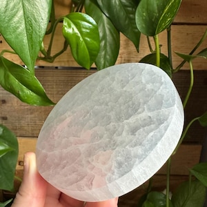 May include: A light-colored, oval-shaped stone with a textured surface. The stone is held in a hand, with green leaves and wooden planks in the background. The stone appears to be a decorative item.