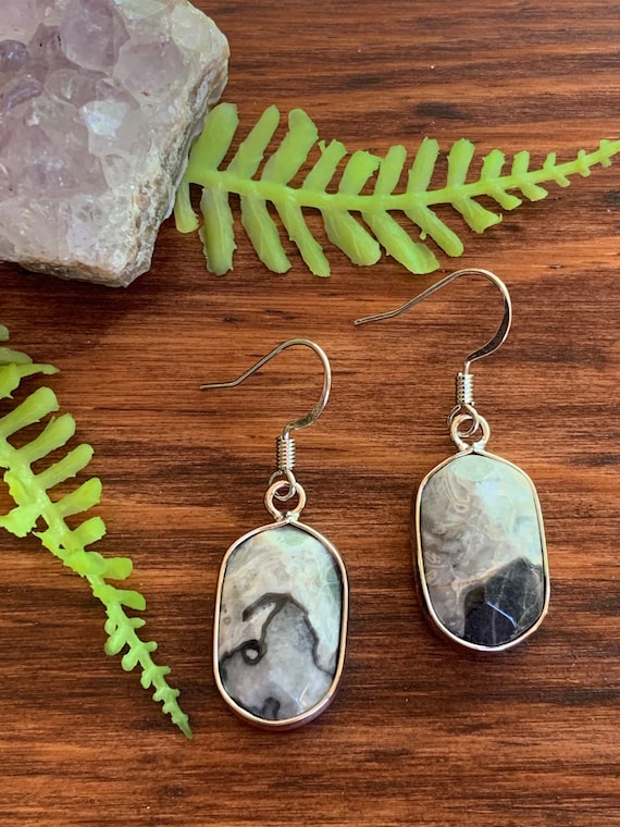 Grey Jasper Earrings