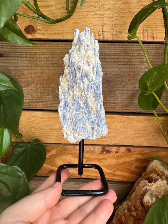 Blue Kyanite Rough Specimen On Display Stand