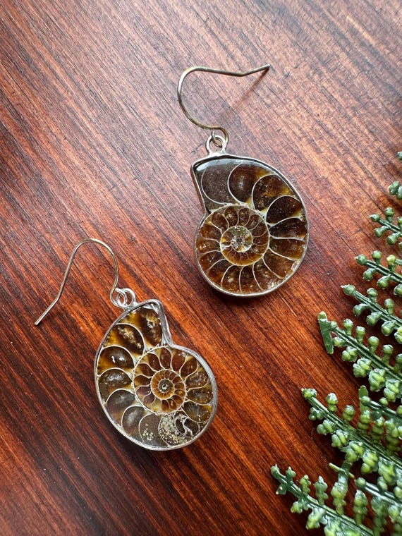 Small Ammonite Earrings / Darker Set