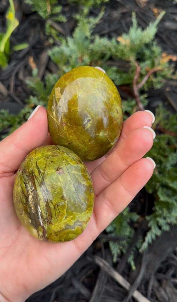 Green Opal Palm Stone Pair