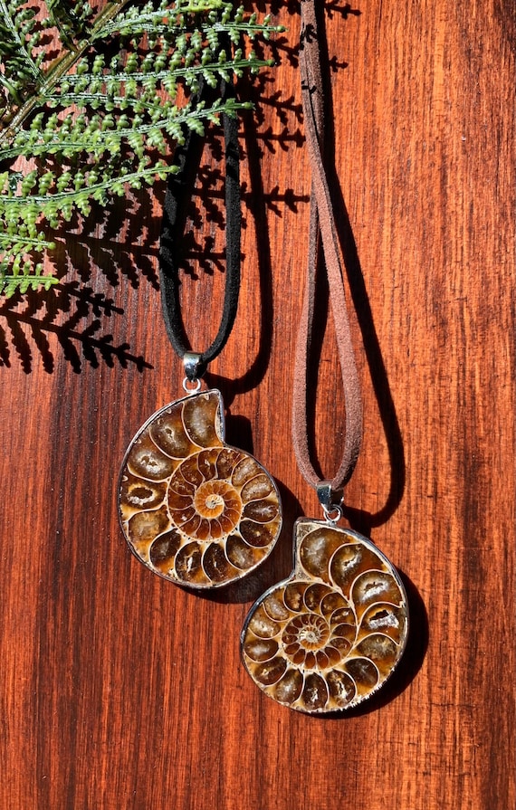 Large Ammonite Pendant / Necklace