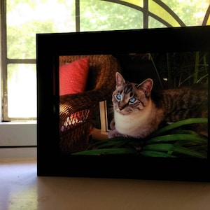 Your Life!  Window Frames! Send Your Favorite Photos to Create Lovely Backlit Pictures!  Place close to a  window and WOW!  5x7 picture.