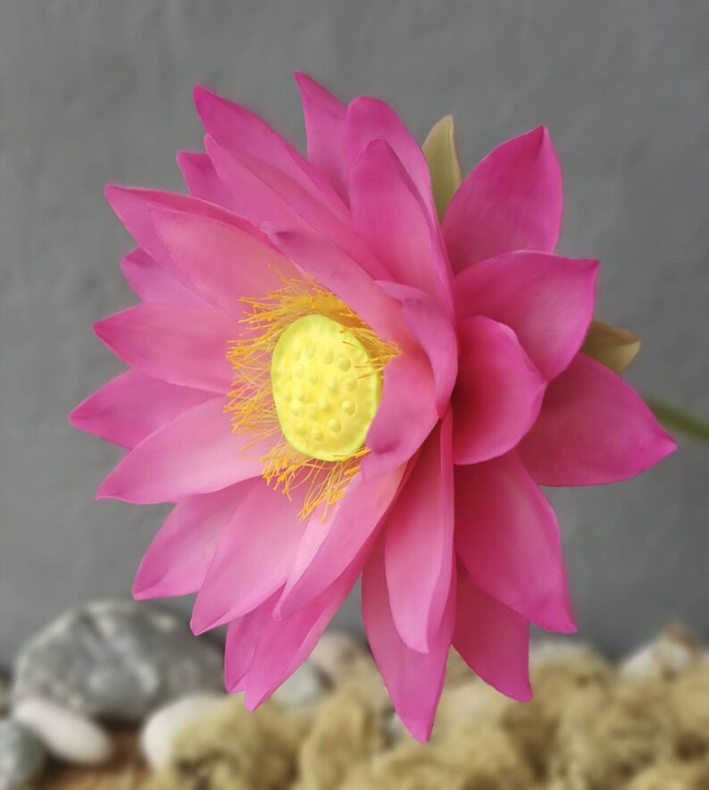 Cold Porcelain Lotus Flower/polymer Clay Flowers/artificial Etsy