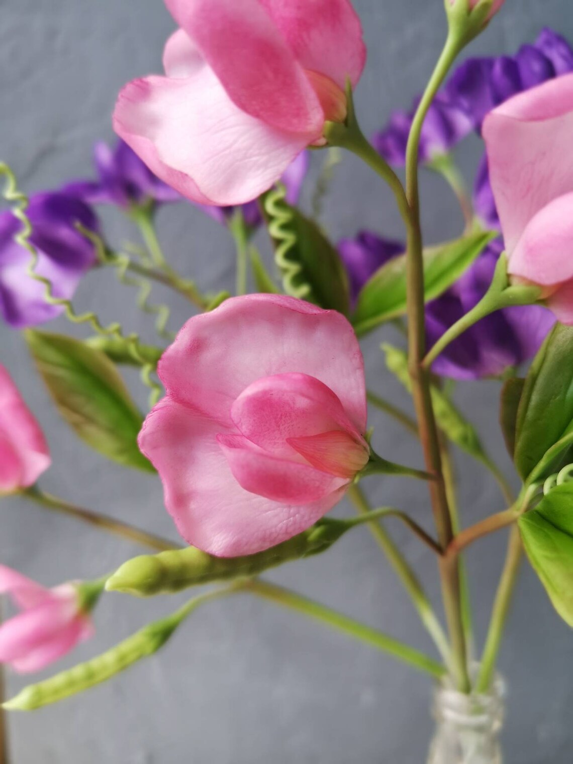 Cold porcelain sweet pea flower stem/Real touch Etsy
