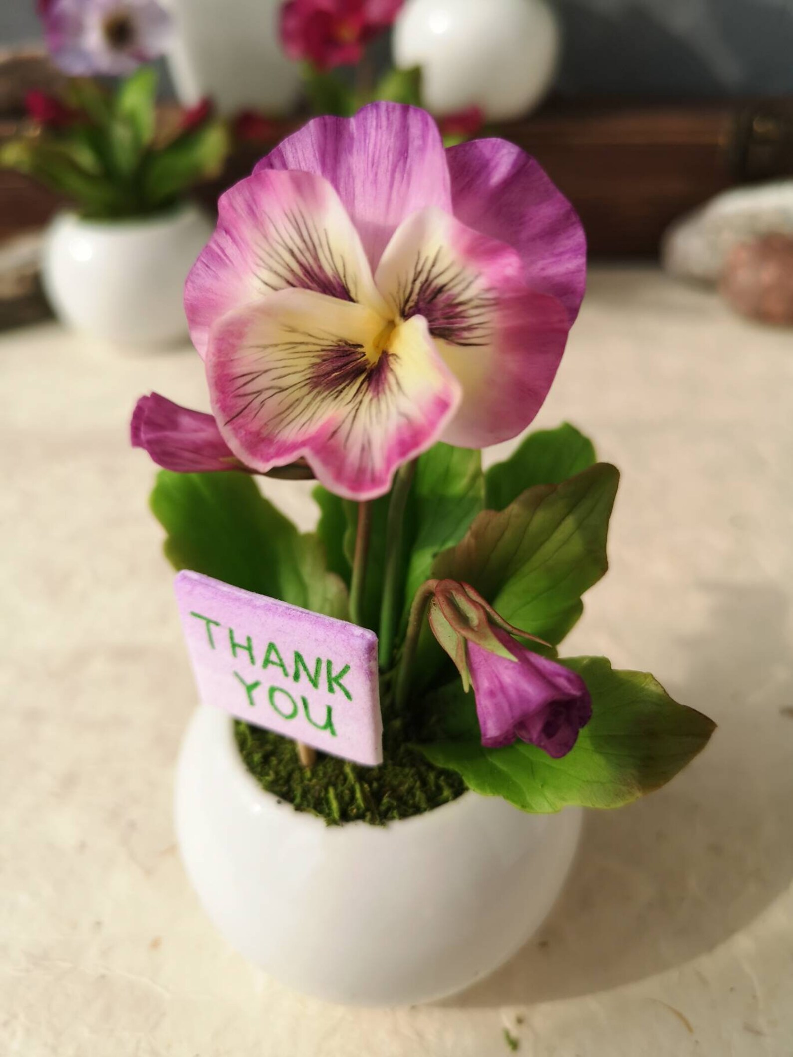 Red pansy in flowerpot/Personalized flower gift/Pansy Etsy