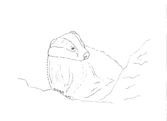 34 Dachs Bilder Zum Ausdrucken Besten Bilder von 34 Dachs Bilder Zum Ausdrucken Besten Bilder von