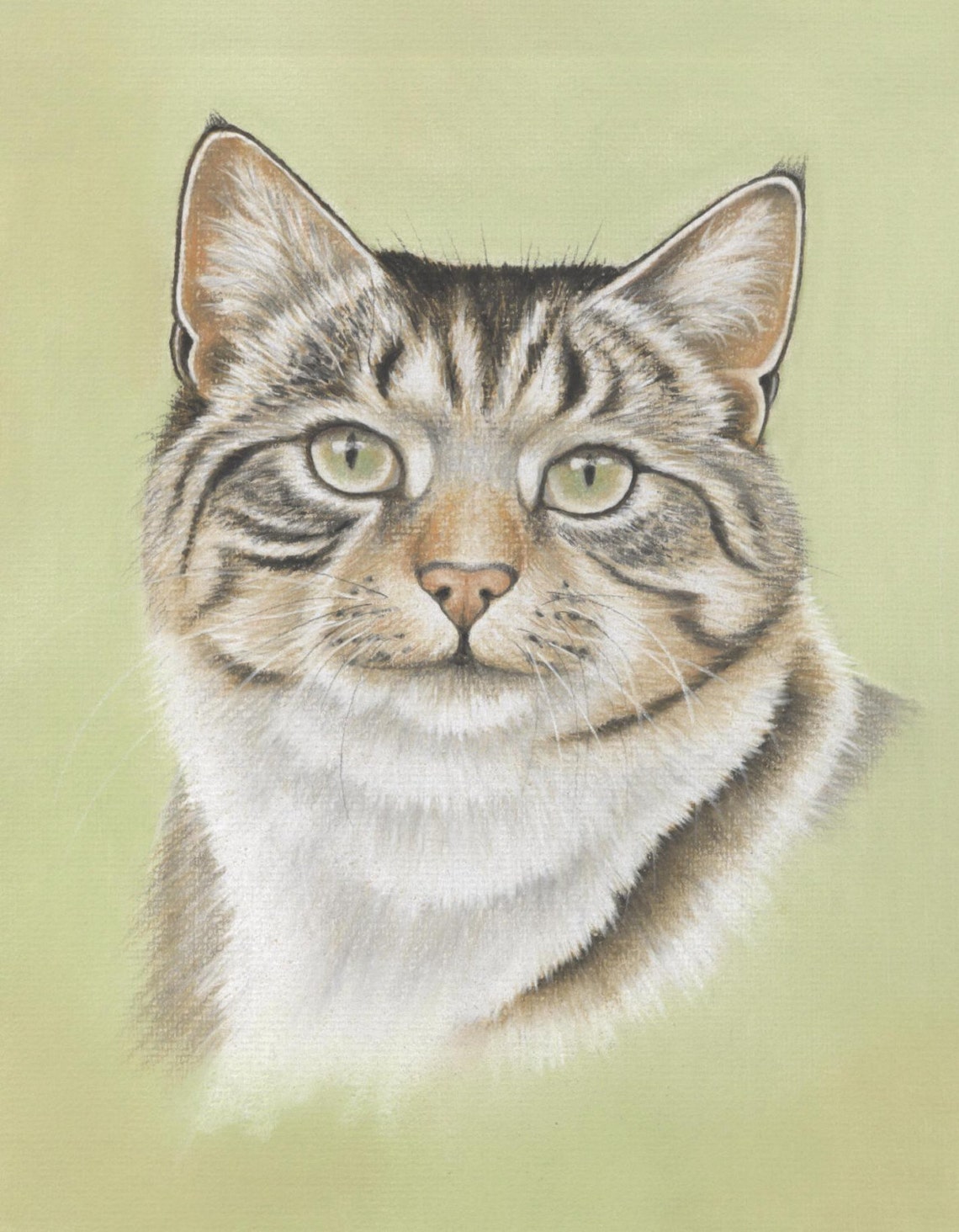 Pet Portraits Drawing Pack Etsy