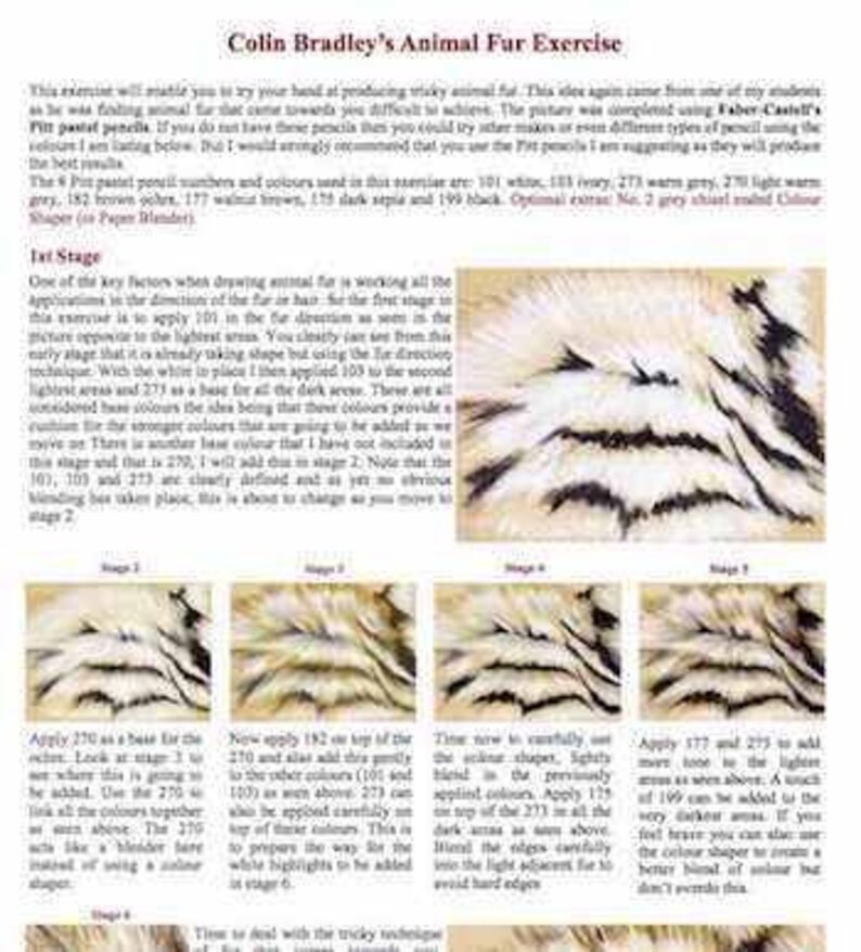 Animal Fur Exercise Sheet
