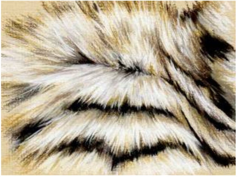 Animal Fur Exercise Sheet