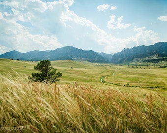 Mountains Print Photo | Meadow | Mountain Range | Tree Wall Decor | Cool Tone Prints | Relaxing Wall Decor | Blue & Green | Grass