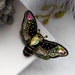 see more listings in the BUTTERFLY brooch pin section