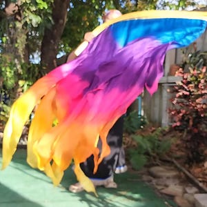 May include: A vibrant, flowing fabric in shades of yellow, orange, pink, purple, and blue. The fabric is held aloft, creating a dynamic, waving effect. The background includes greenery and a wooden fence.