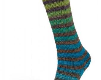 GP:199EUR/kg 6ply Paint Sock (Laines du Nord) -3-