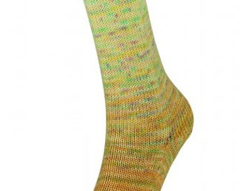 GP:159EUR/kg Paint Gradient Sock (Laines du Nord) -17-