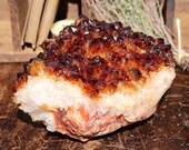 Citrine Pine Rosette 4.16 lbs., Citrine Geode, Citrine Rosette, Citrine Cluster, Citrine Druzy, Boho Decor, Altar Crystal, Reiki