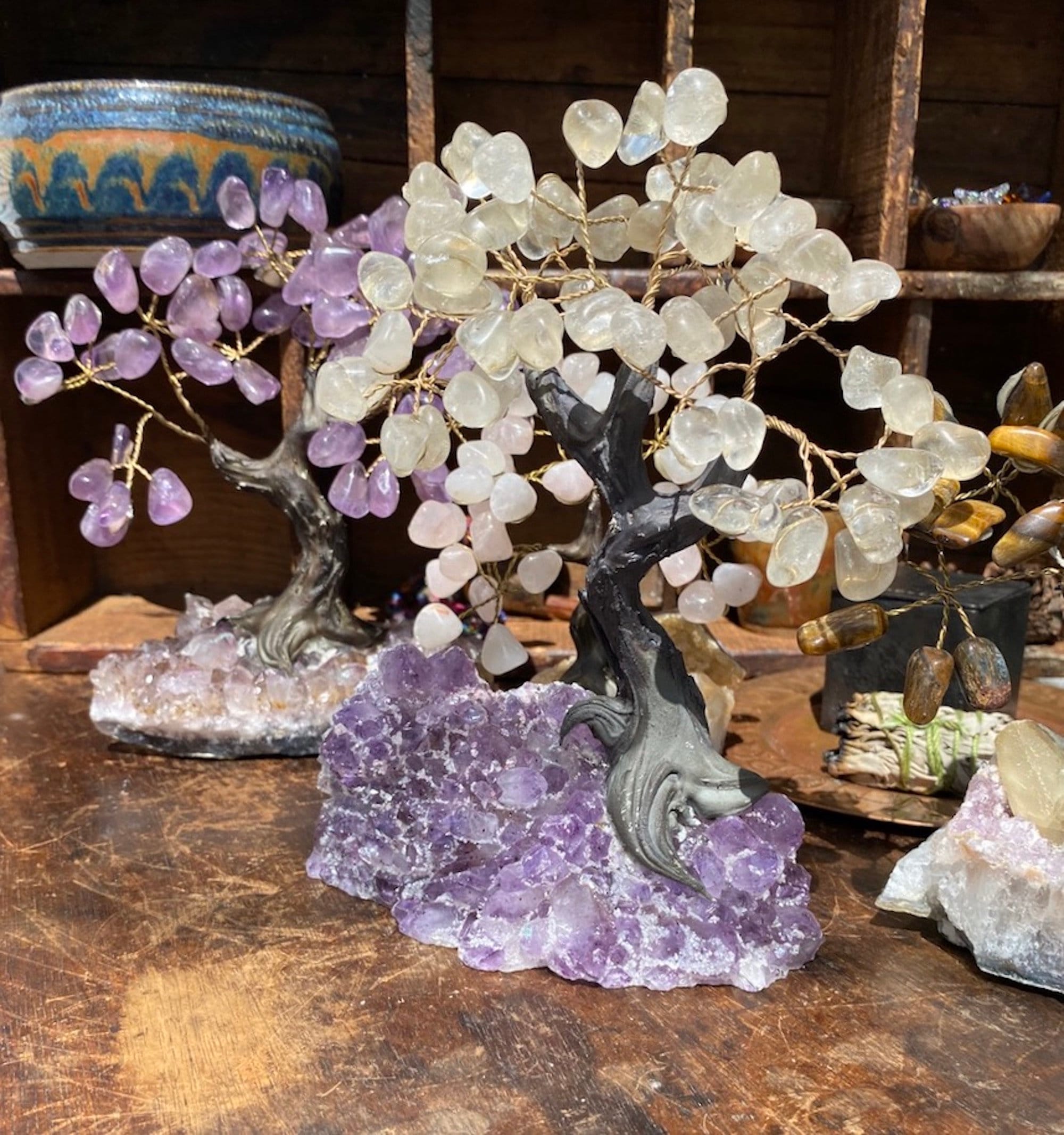 Large Crystal Bonsai Tree