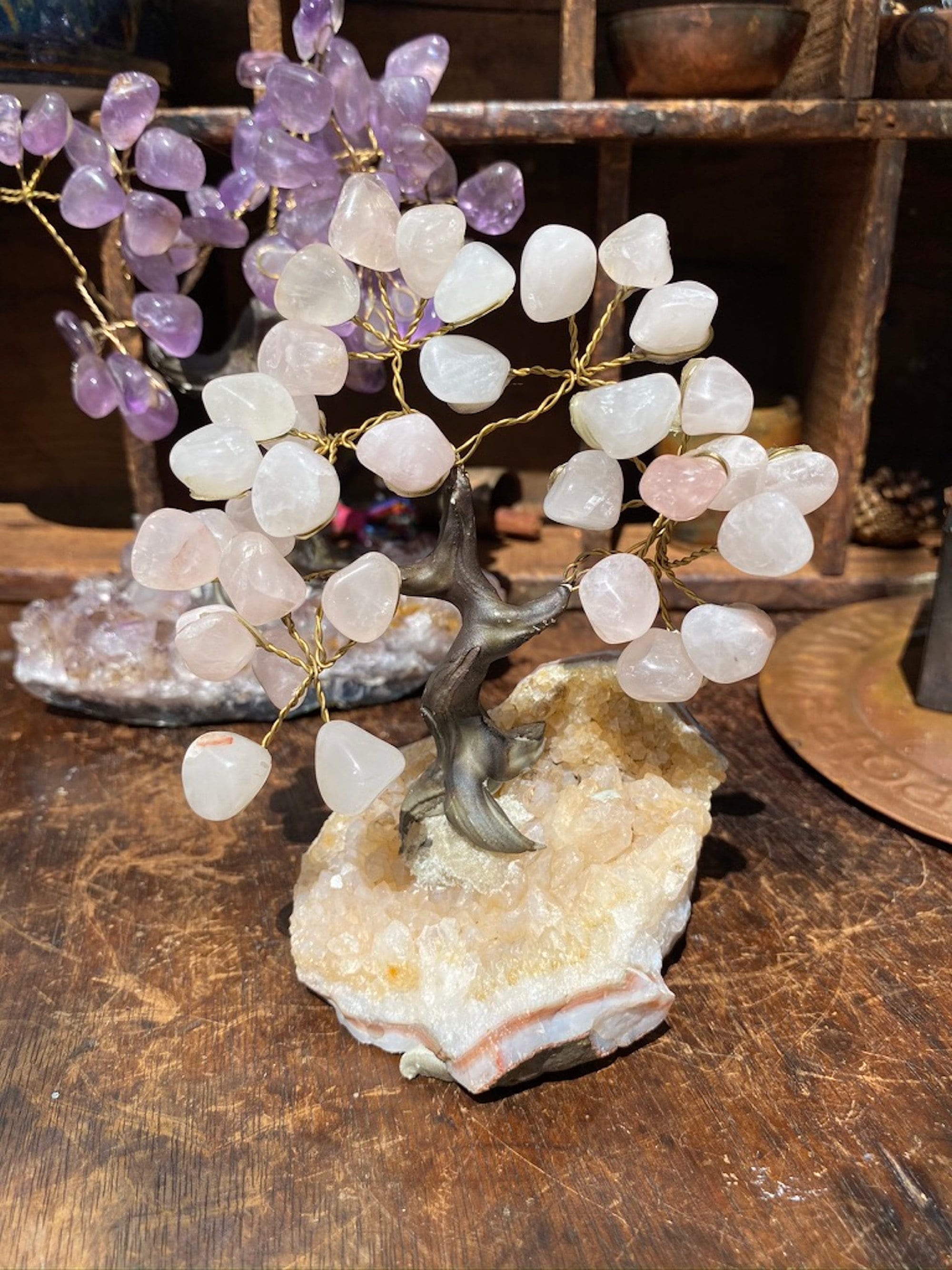 Medium Crystal Bonsai Tree ~ Many Styles in Stock!