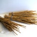 Natural Straw bouquet Straw bunch Dried Grass bunch Vase filler Craft Supplies Rustic home decor Floral supplies Organic decor Grass Bouquet