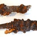 Wood Root burl set of 2 pieces Unique wooden tree pieces home decor craft woods Solid wood burl Exotic rare burls for craft and art design