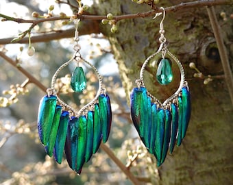 Irisierende Chandelier Ohrringe aus Juwel Käfer Flügeln in Silber, leichte Ohrringe, Natürlicher Grün Blauer Elytra Schmuck, Sternocera