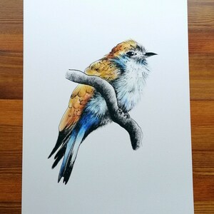 Süßer, schlichter, bunter blauer und gelber Vogel Zeichnung Digitaldruck! Limitierte Auflage A4 Druck! Perfektes Geschenk, Rahmen optional! Liebe Natur