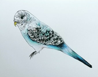 Budgie Tattoo - Etsy Ireland Budgie Tattoo - Etsy Ireland