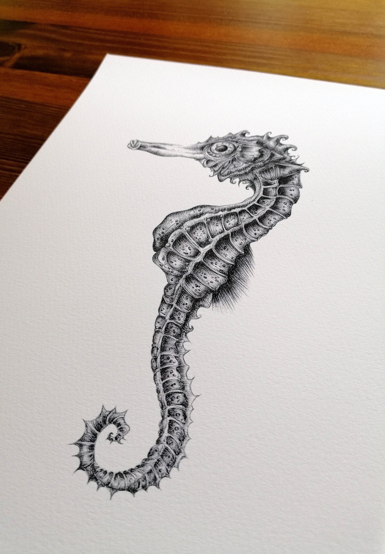 Beautiful Black and White Seahorse Biro Drawing Giclee Print Etsy