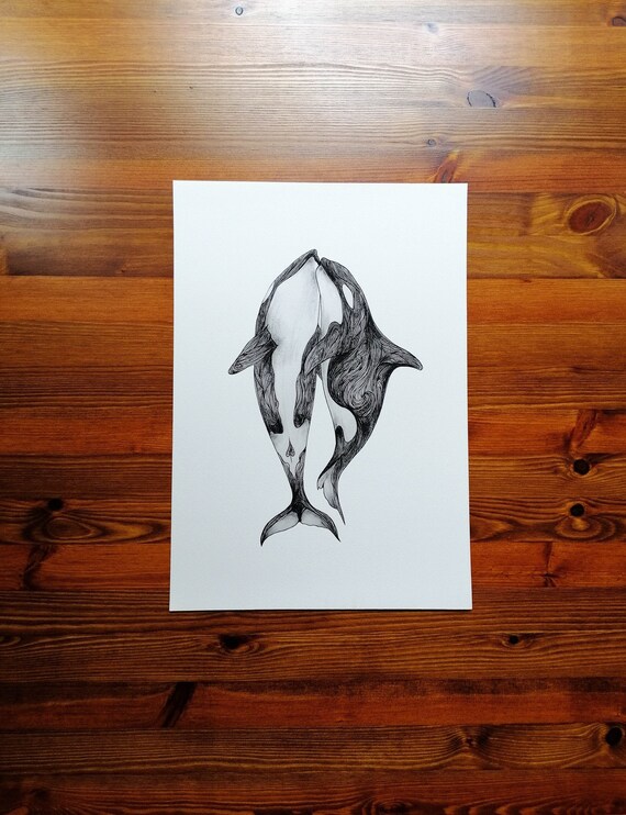 Schone Einzigartige Schwarz Und Weiss Orca Wal Zeichnung Etsy