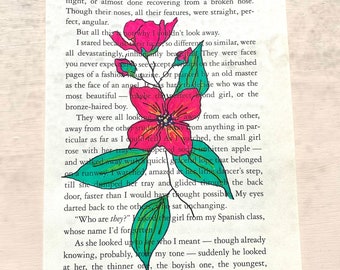 Brazilian Jasmine Sketch on Upcycled novel paper//Flower art//Studio Art//Bedroom art//Colorful Flowers