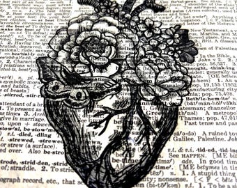 Heart with Blooming Flowers sketch and print on Upcycled Vintage Dictionary Paper