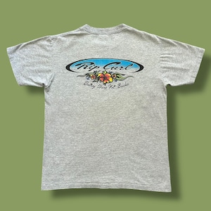 May include: A heather gray t-shirt featuring the Rip Curl logo in a blue oval with a floral design. The text "Destroy Waves Not Beaches" is below the logo. The shirt is short-sleeved.