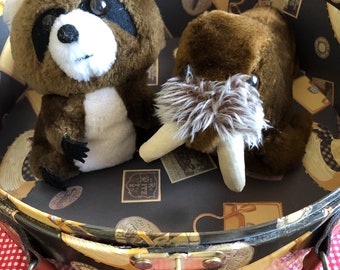 2 Dakins in a Hatbox ! ‘74; ‘75 Raccoon and Walrus