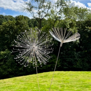 A Fairy Wish / Dandelion image 1