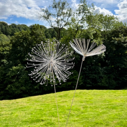 A Fairy Wish / Dandelion