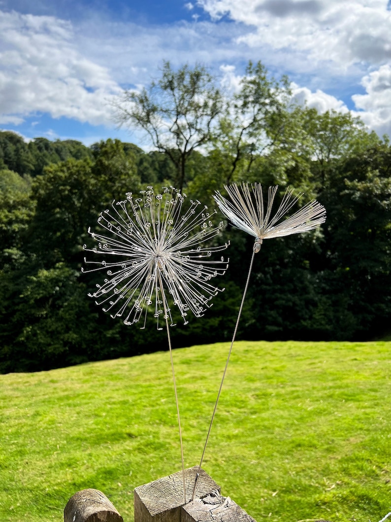 A Fairy Wish / Dandelion image 1