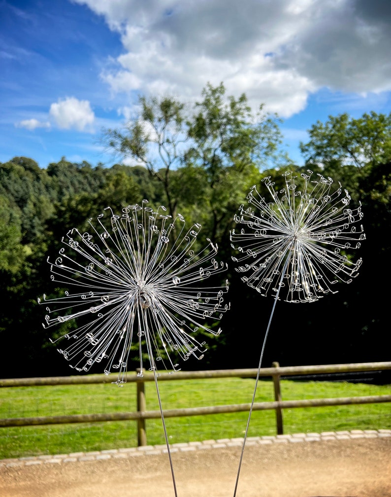 A Fairy Wish / Dandelion image 3