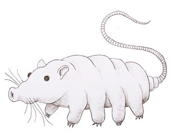 this is the perfect rat  - Ratigrade  - Surreal Rat Art 4” Vinyl Sticker - Searching for The Perfect Rat