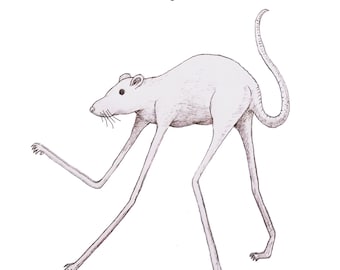 this is the perfect rat  - Dali Rat Sticker - Surreal Rat Art 3.5” Vinyl Sticker - Searching for The Perfect Rat