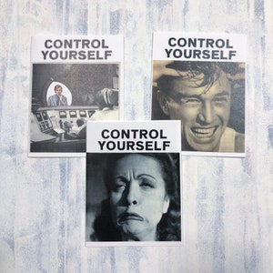 Control Yourself Bundle // 1-3 // Collage Zine Surrealism Media Vintage Weird Horror Full Color Art 8 Panel Zine