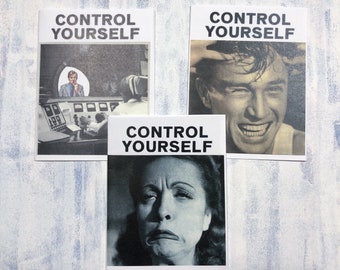 Control Yourself Bundle // 1-3 // Collage Zine Surrealism Media Vintage Weird Horror Full Color Art 8 Panel Zine