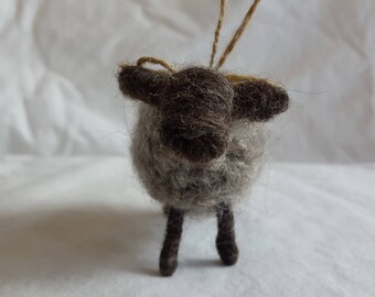Small ewe (gray) with loop