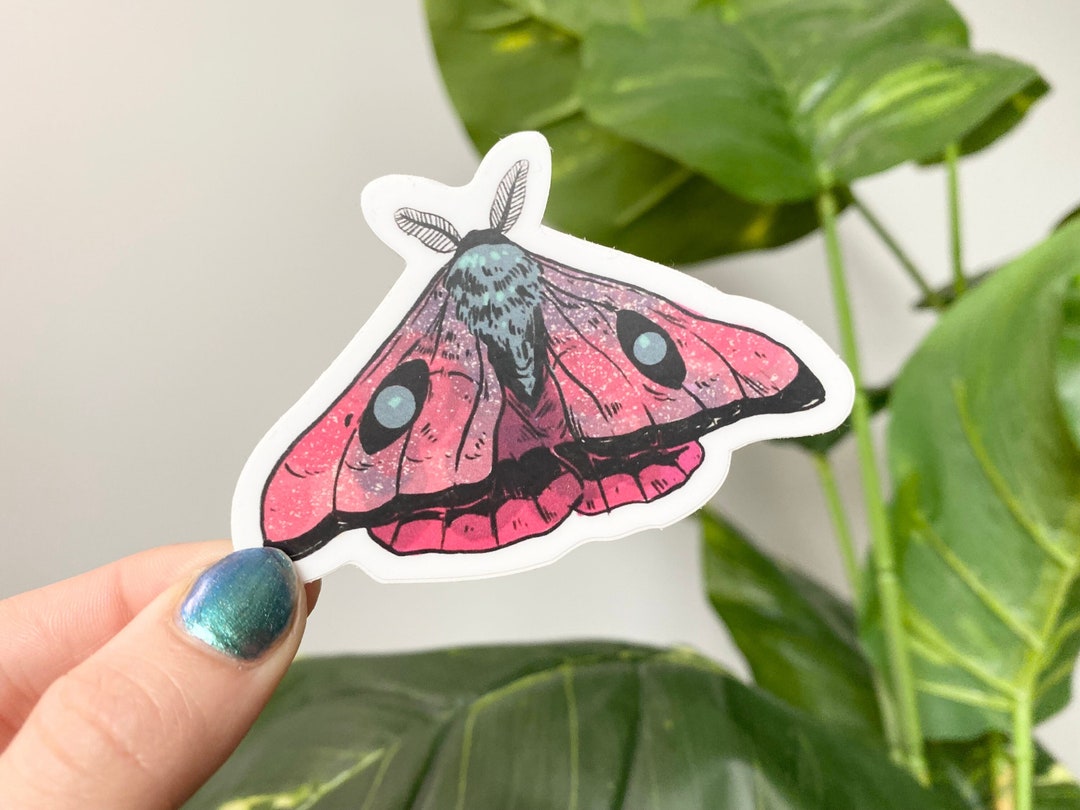 Pretty Moth Sticker - Galactixy Illustrations Collab - High Quality ...