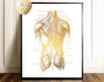 Physical Therapy Gifts - Massage Therapy Gifts - Gold Foil Print - Anatomy Art Muscles - Gift for Physical Therapist - Gift for Masseuse