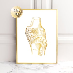 Stampa artistica dell&#39;anatomia del ginocchio in lamina d&#39;oro: regalo ortopedico