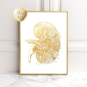 Anatomia sztuki przeszczepu nerki - ZŁOTY DRUK - Sztuka nerki - Prezent dla dawcy nerki - Prezent dla przeszczepu nerki - Lekarz nefrolog specjalizujący się w leczeniu raka nerki